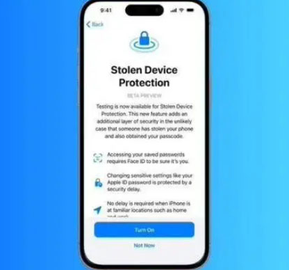 延津苹果授权维修店分享被盗设备保护功能开启方法 