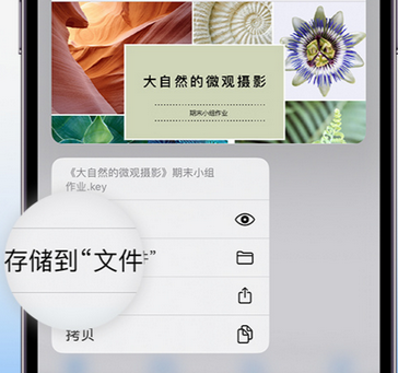 延津apple维修中心分享iPhone文件应用中存储和找到下载文件