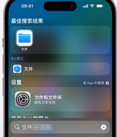 延津apple维修中心分享iPhone文件应用中存储和找到下载文件 