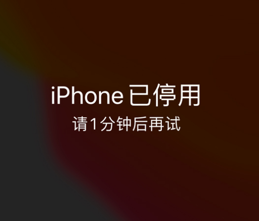 延津苹果手机维修分享:iPhone 显示“不可用”或“已停用”怎么办？还能保留数据吗？ 