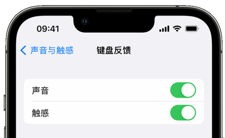 延津苹果手机维修分享iPhone 14触感键盘使用方法 