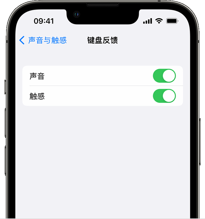 延津苹果14维修店分享如何在 iPhone 14 机型中使用触感键盘 