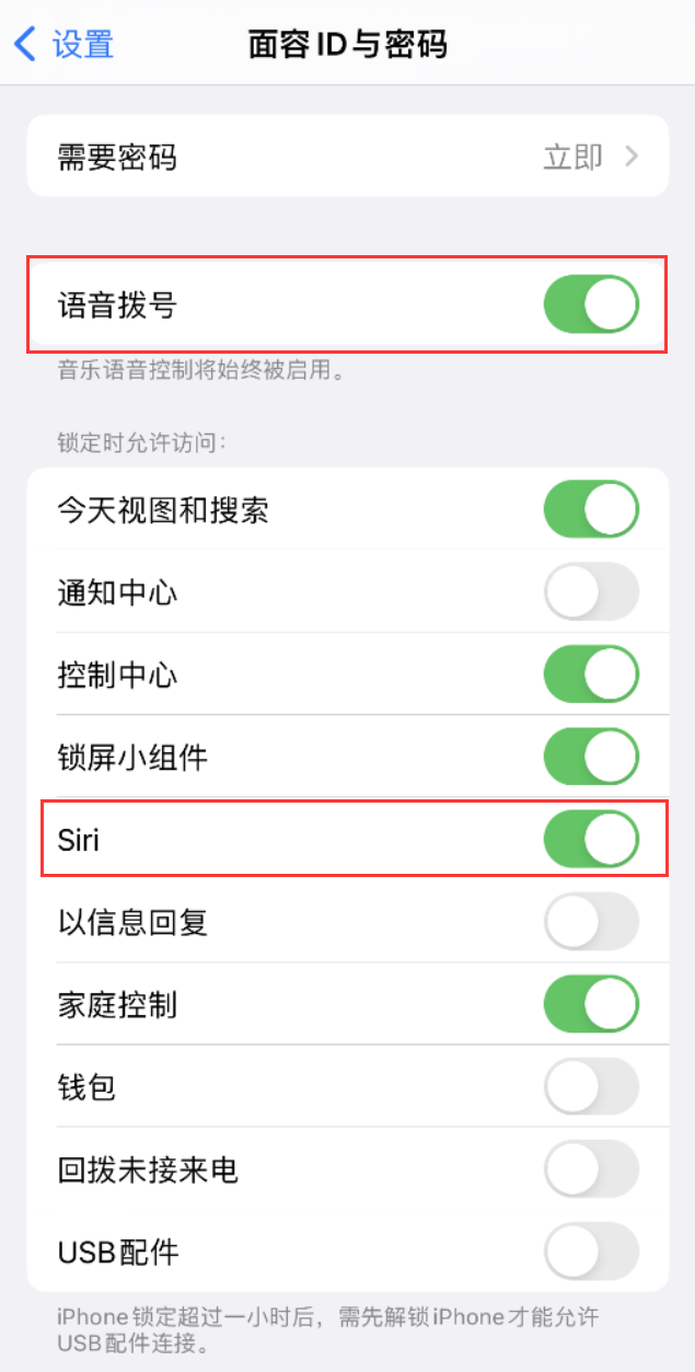 延津苹果维修网点分享不解锁 iPhone 的情况下通过 Siri 拨打电话的方法 