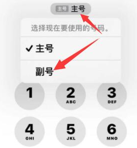 延津苹果14维修店分享iPhone 14 Pro Max使用副卡打电话的方法 