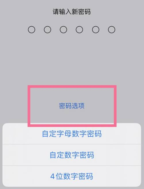 延津苹果14维修分享iPhone 14plus设置密码的方法 