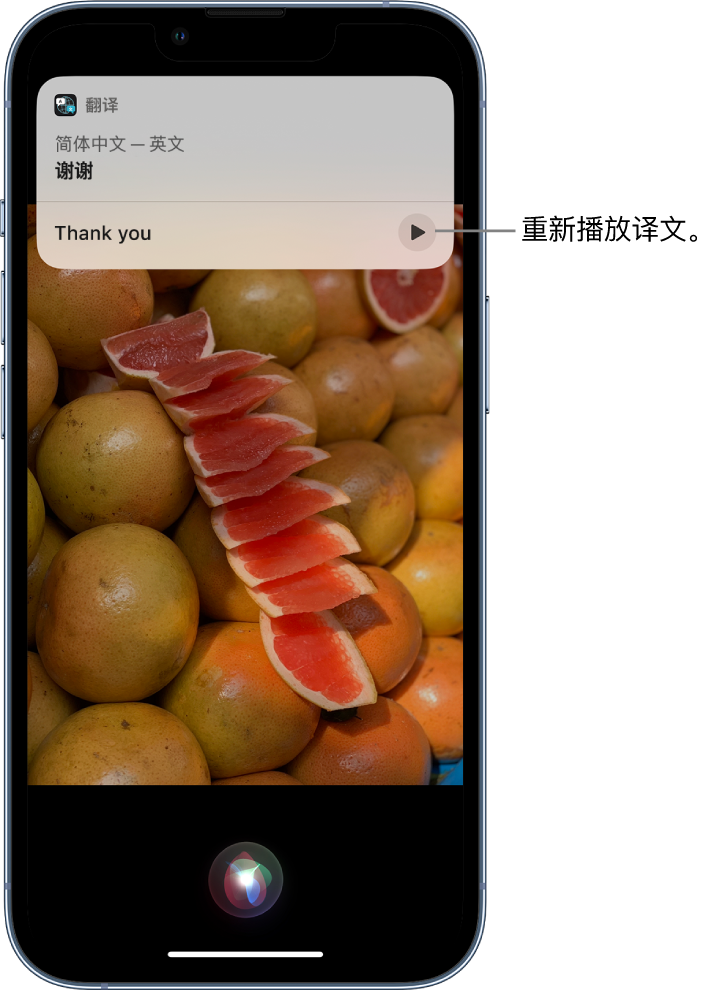 延津苹果14维修分享 iPhone 14 机型中使用 Siri：了解 Siri 能帮你做什么 