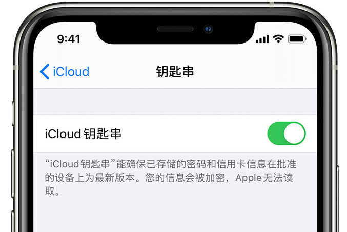 延津苹果手机维修分享在 iPhone 上开启 iCloud 钥匙串之后会储存哪些信息 