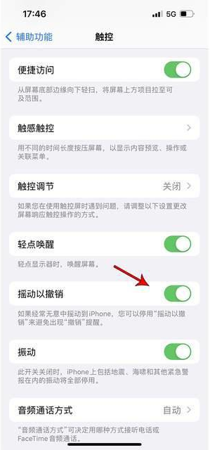 延津苹果手机维修分享iPhone手机如何设置摇一摇删除文字 