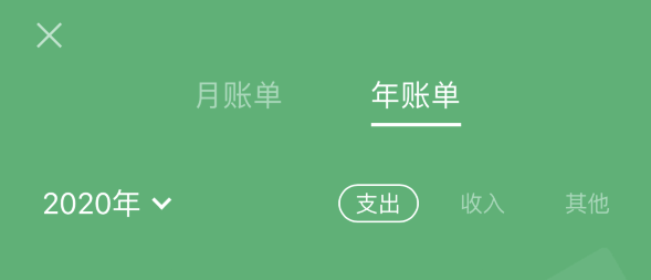 延津苹果手机维修分享如何在 iPhone 上查看支付宝和微信年支出账单 